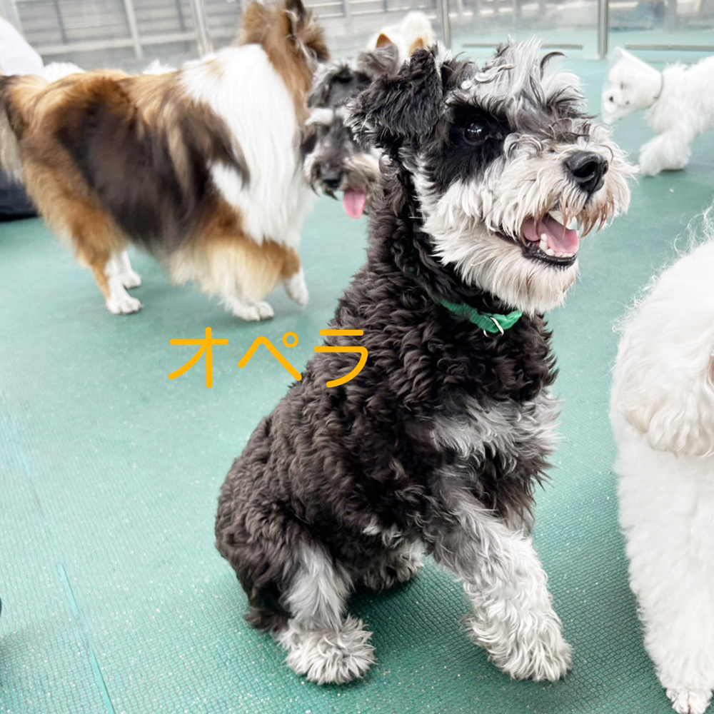 生徒が撮影した写真☆☆☆②